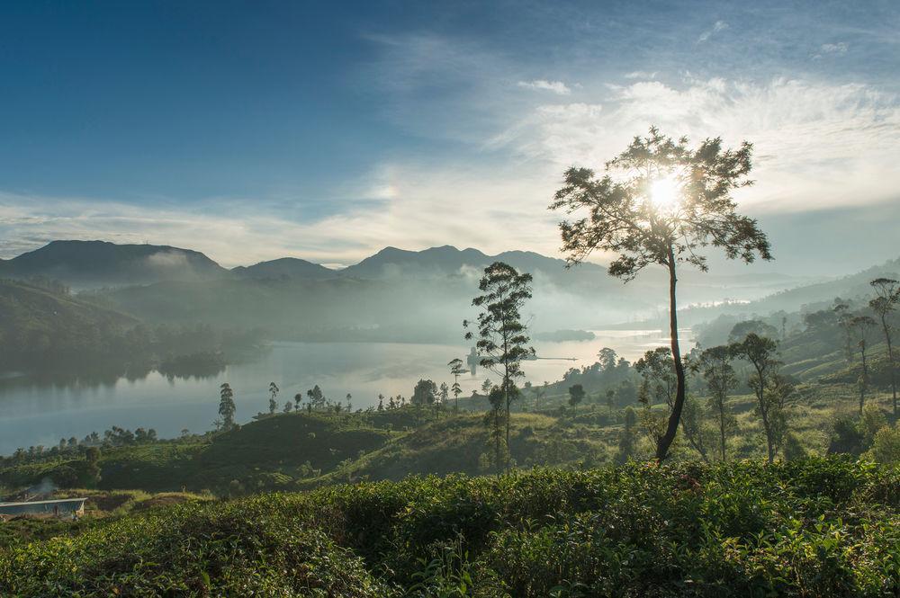 Ceylon Tea Trails Ξενοδοχείο Norwood Εξωτερικό φωτογραφία