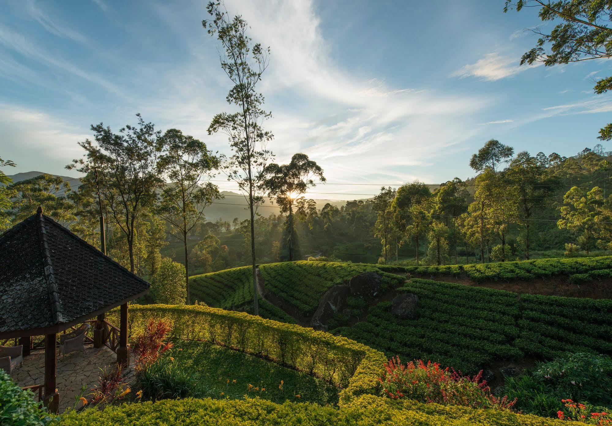 Ceylon Tea Trails Ξενοδοχείο Norwood Εξωτερικό φωτογραφία