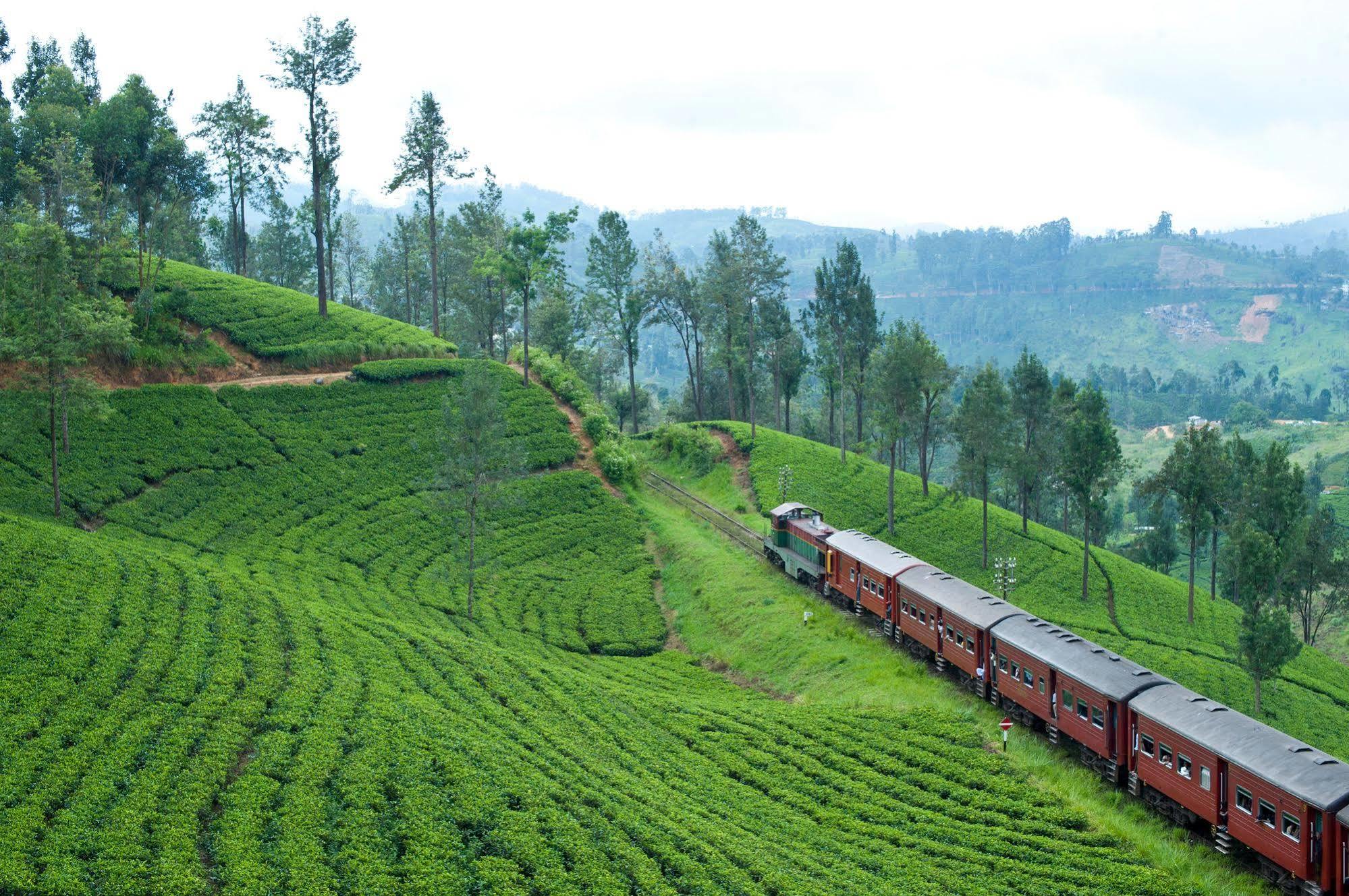 Ceylon Tea Trails Ξενοδοχείο Norwood Εξωτερικό φωτογραφία